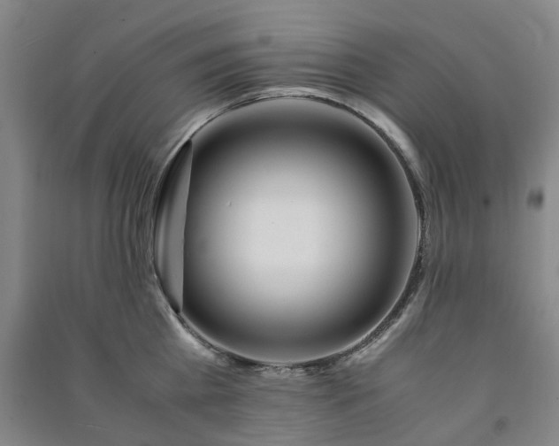 X0000091240809200708161735
