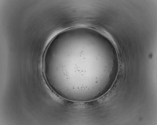 X0000091240811200708161735