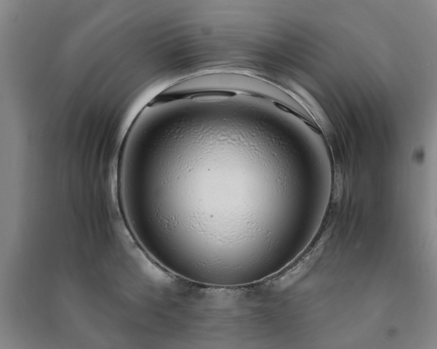 X0000091240812200708161735