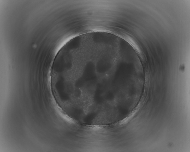 X0000091240814200708161735