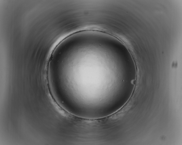 X0000091240816200708161735