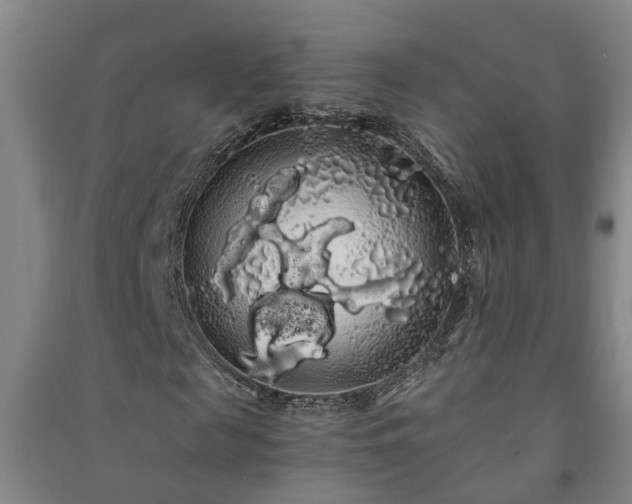 X0000091240817200708161734