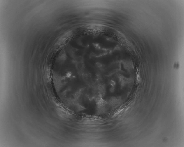 X0000091240819200708161734