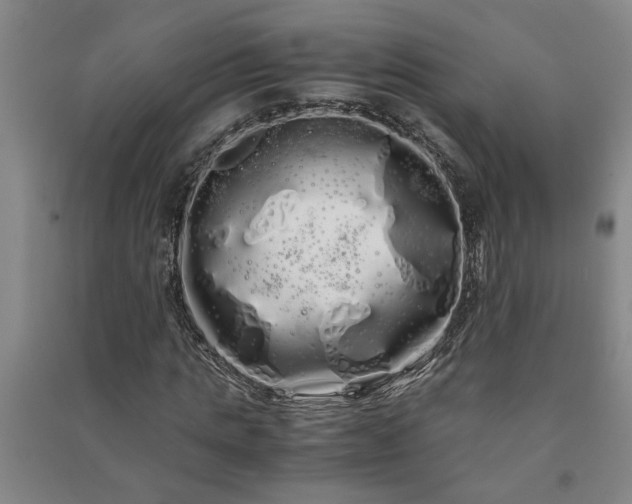 X0000091240821200708161734