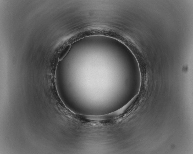 X0000091240822200708161734