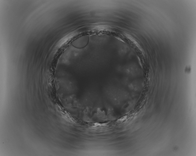 X0000091240823200708161734
