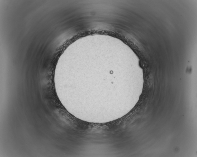 X0000091240824200708161734