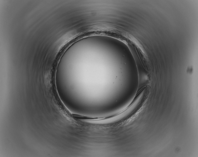 X0000091240826200708161734