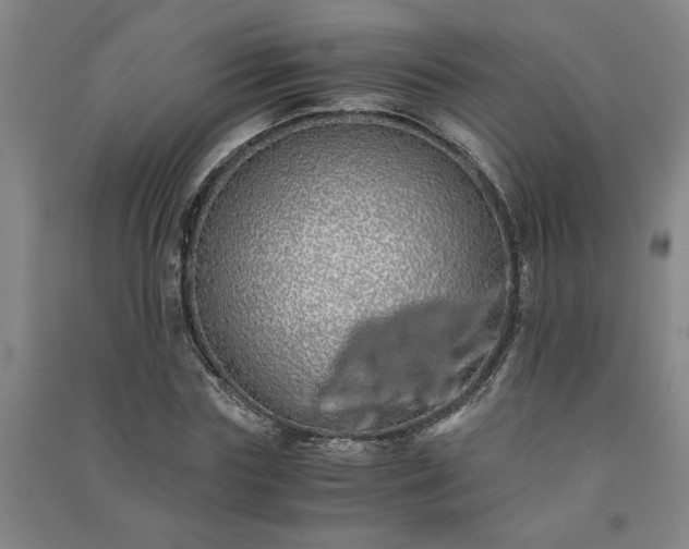 X0000091240827200708161734
