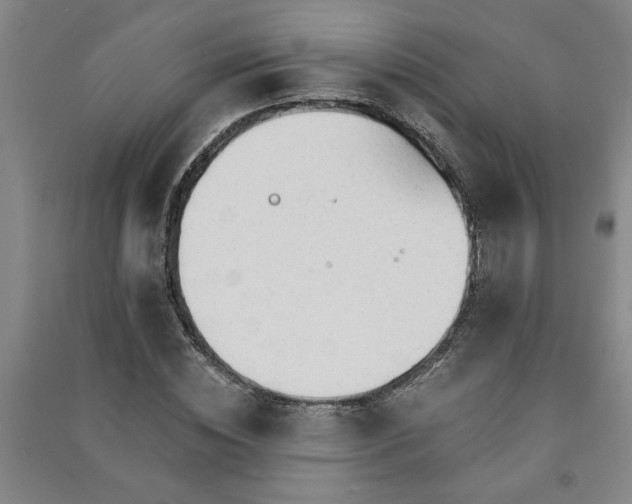 X0000091240828200708161734