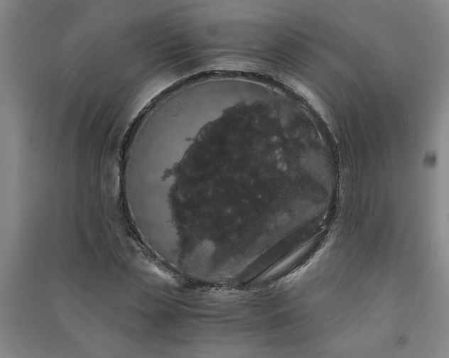 X0000091240829200708161734