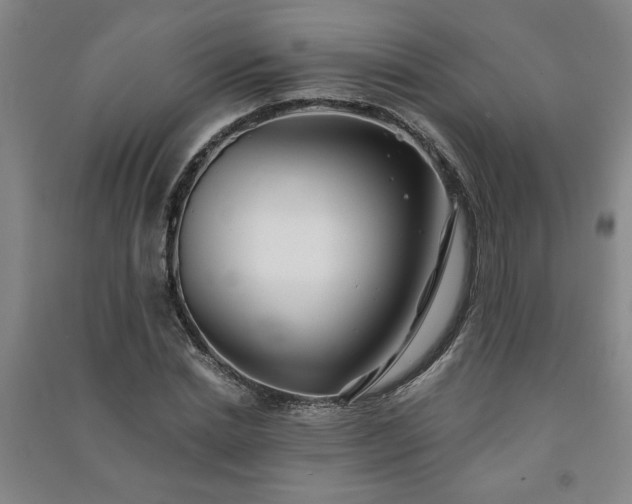 X0000091240830200708161734