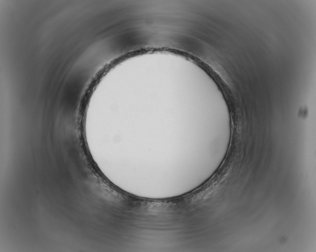 X0000091240832200708161734