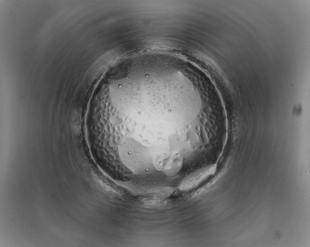 X0000091240833200708161734