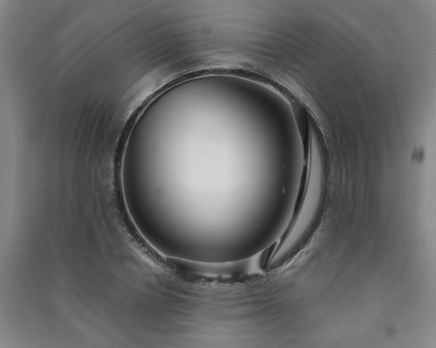 X0000091240834200708161734