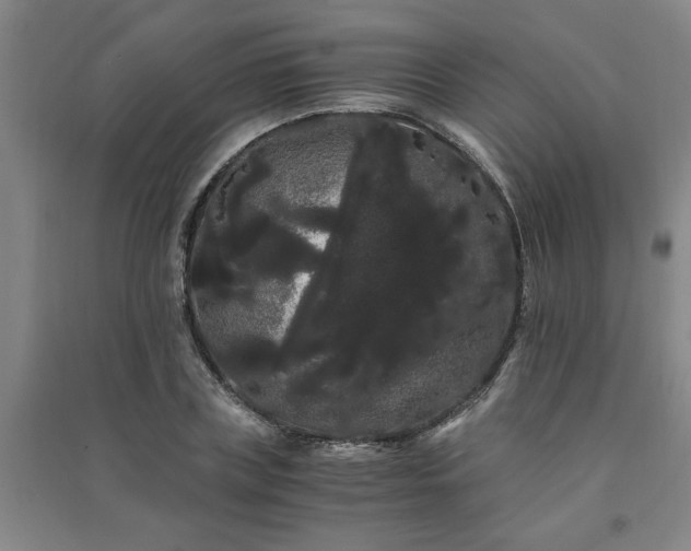X0000091240835200708161734