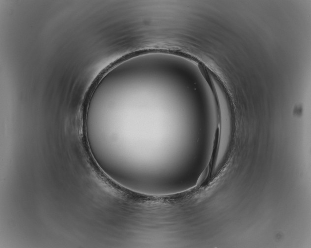X0000091240838200708161734