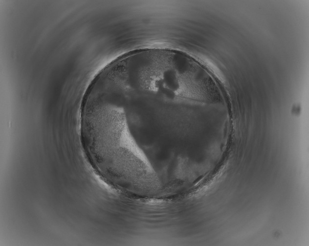 X0000091240839200708161734