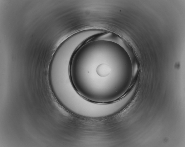 X0000091240842200708161734
