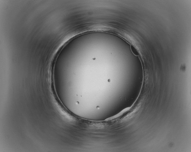 X0000091240843200708161734