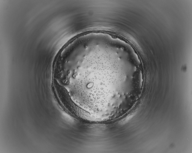 X0000091240844200708161734