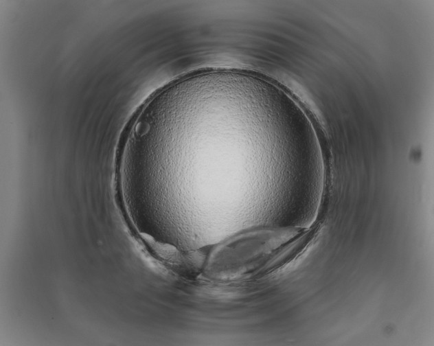 X0000091240845200708161734