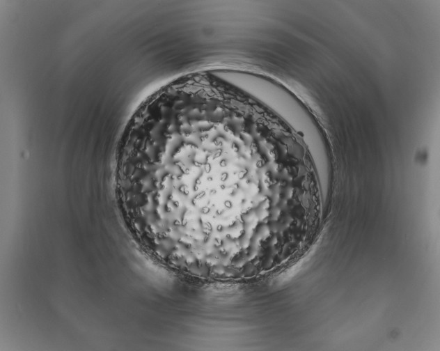 X0000091240846200708161734
