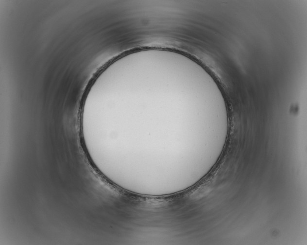 X0000091240848200708161734