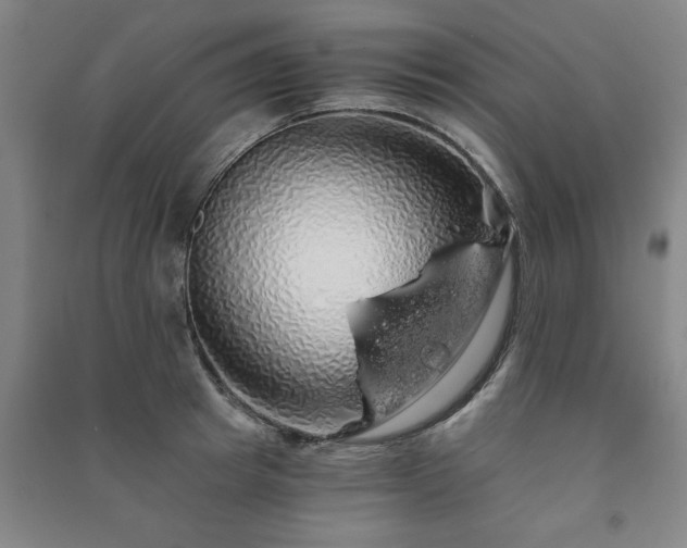 X0000091240849200708161734