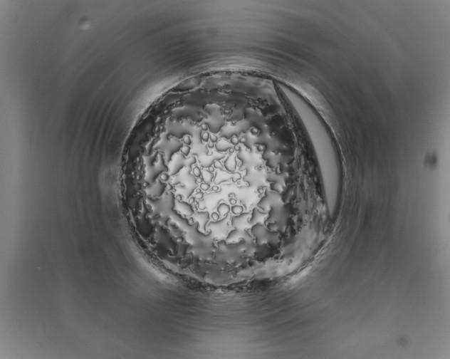 X0000091240850200708161734