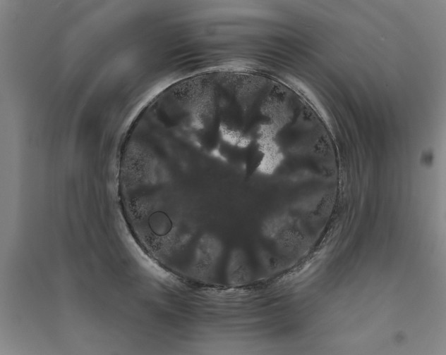 X0000091240851200708161734