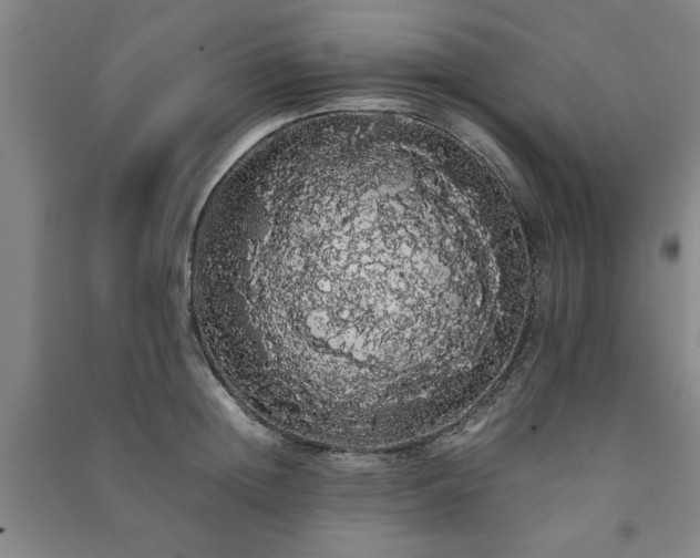 X0000091240852200708161734