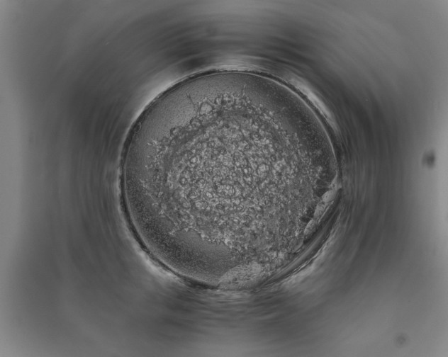 X0000091240853200708161734