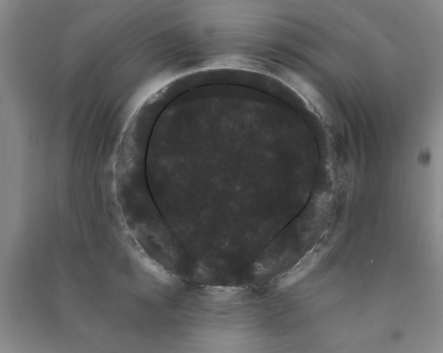 X0000091240854200708161734