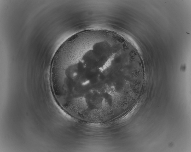 X0000091240855200708161735