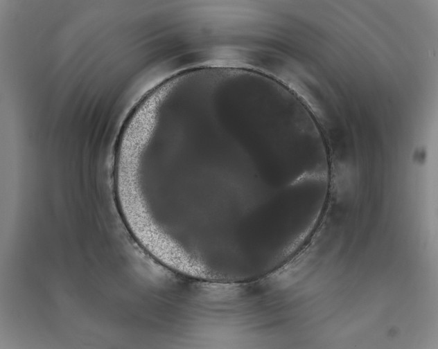 X0000091240856200708161735