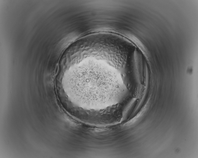 X0000091240857200708161735