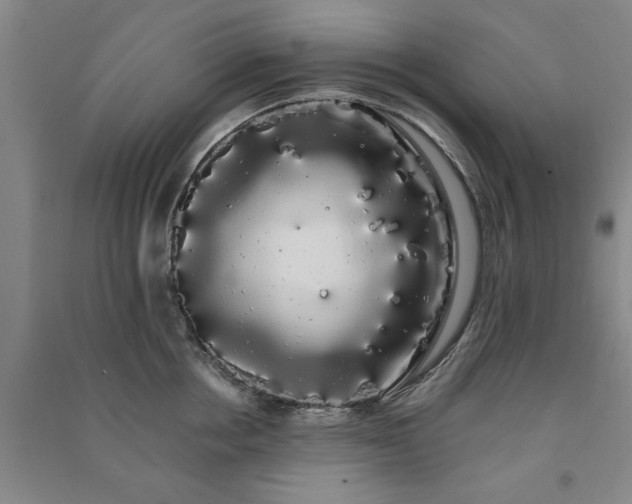 X0000091240858200708161735