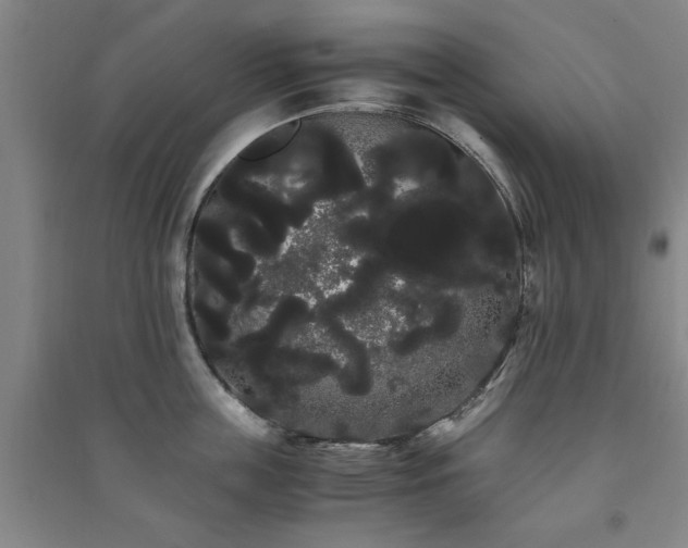 X0000091240859200708161735