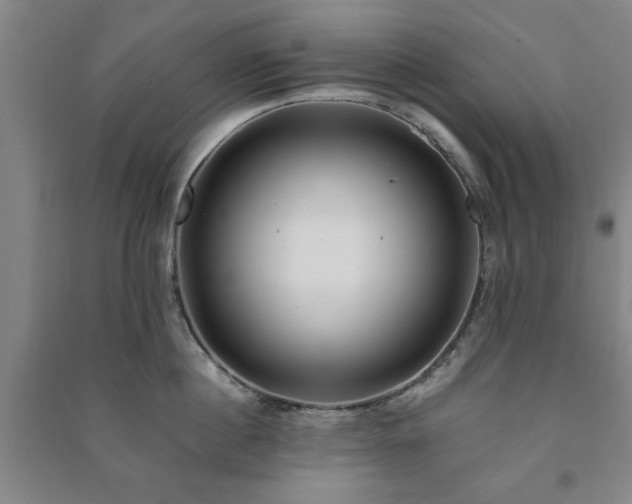 X0000091240860200708161735