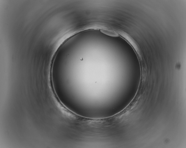 X0000091240861200708161735