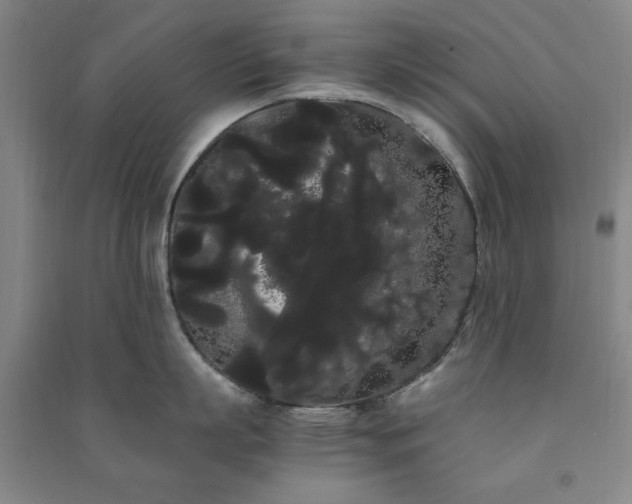 X0000091240863200708161735
