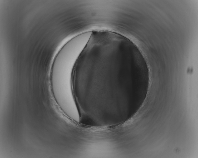 X0000091240864200708161735