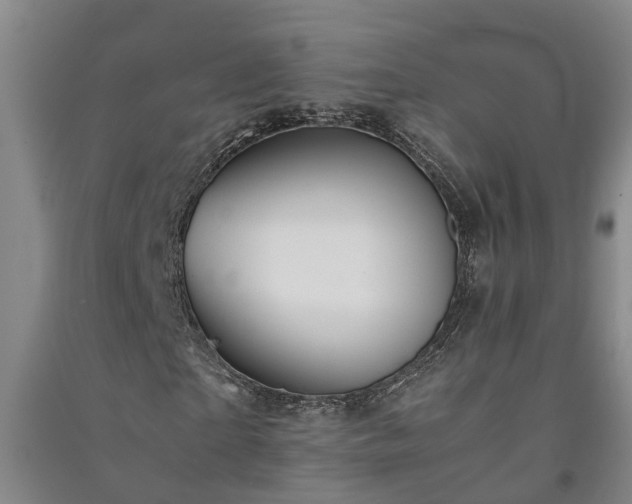 X0000091240865200708161734