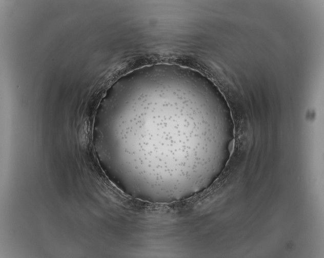 X0000091240866200708161734