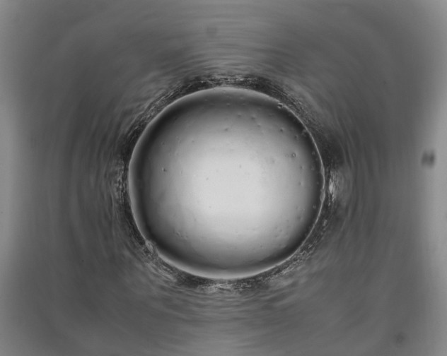 X0000091240867200708161734