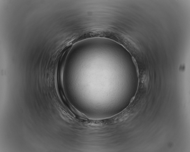 X0000091240868200708161734