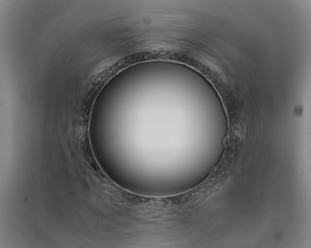 X0000091240869200708161734