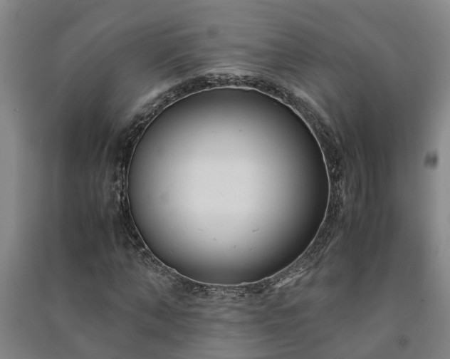 X0000091240870200708161734