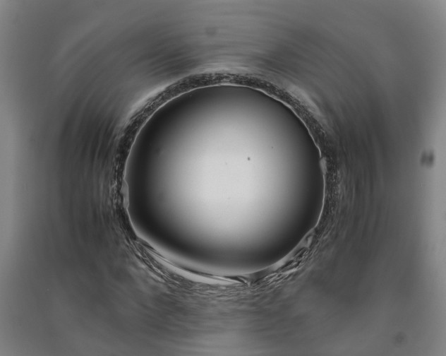 X0000091240872200708161734